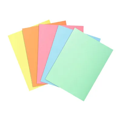 PAPER KING
